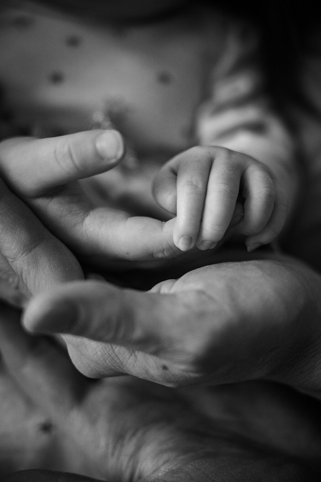 Detail ručičky novorozence drž&iacute;c&iacute; prst rodiče - černob&iacute;l&aacute; newborn fotografie.